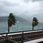 風水害に関する防災気象情報の種類と活用方法